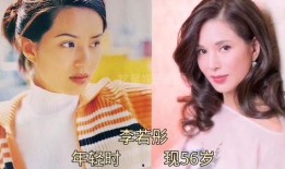 明星事件大爆料最新,明星事件大爆料揭秘幕后真相