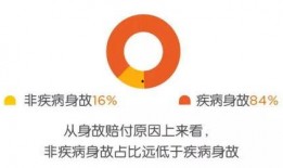 年度大爆料视频,揭秘2023年度热点事件与幕后真相