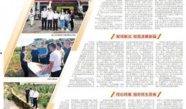 郴州日报爆料新闻事件最新,惊曝郴州某企业涉嫌违规操作，环保部门紧急介入调查